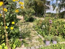 Blumen vor der Wofmühle