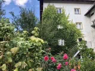 Bewachsene Wolfmühle