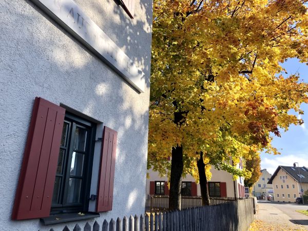 Fensterladen Mohrhof Bioladen Perlach 