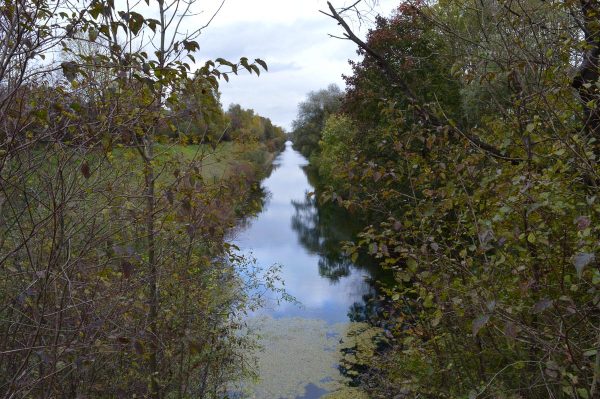 Natural beauty at Abfanggraben creek