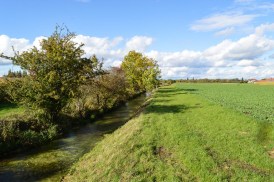 Green spaces at Hüllgraben Munich