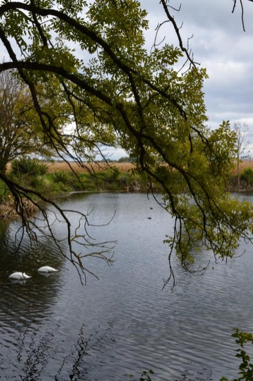 Waste water reservoir inear Abfanggraben in Munich